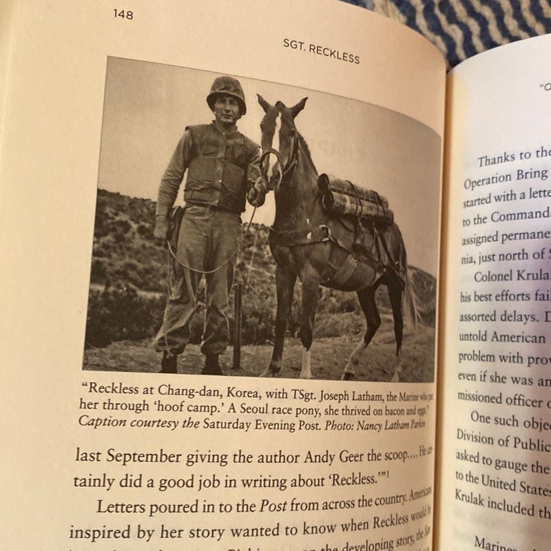 Sgt. Reckless 