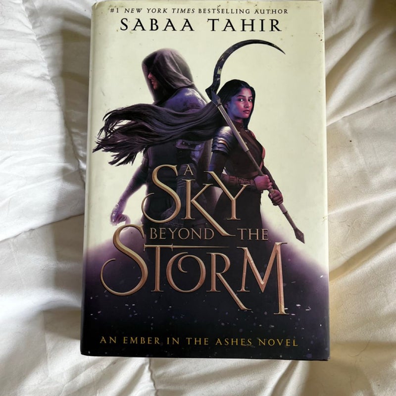 A Sky Beyond the Storm