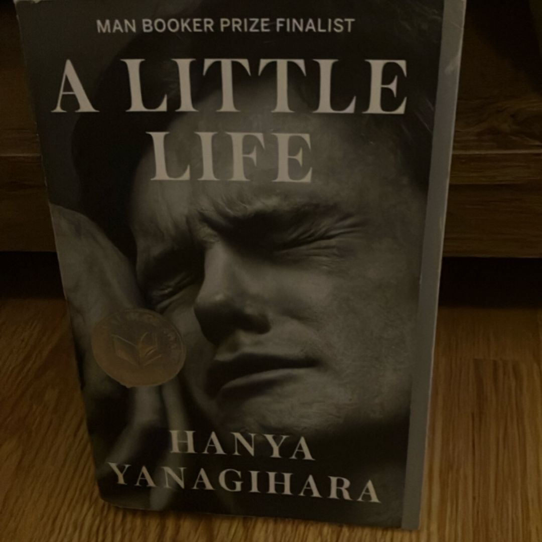A Little Life