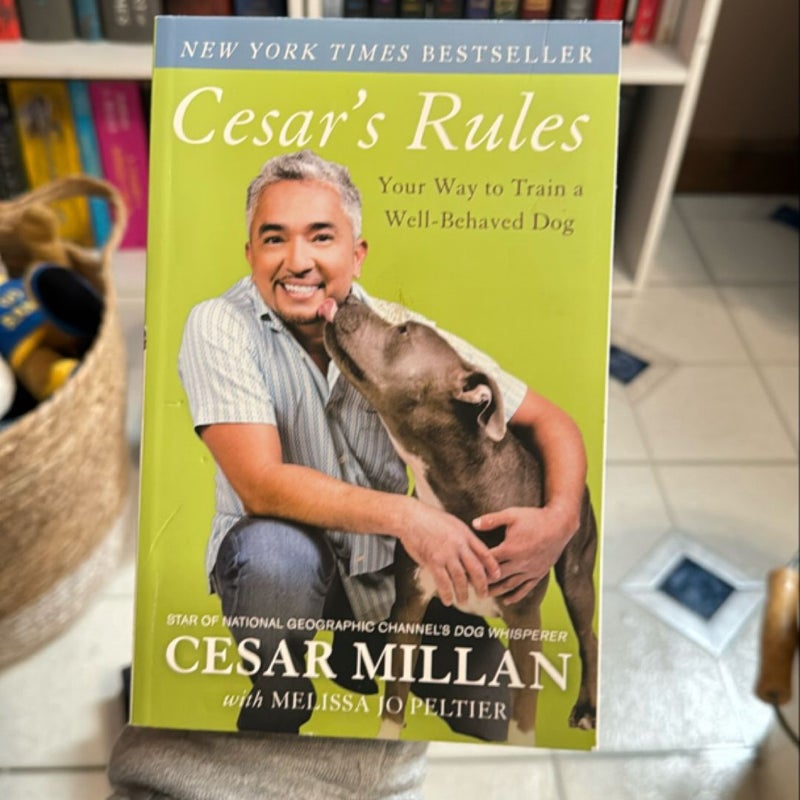 Cesar's Rules