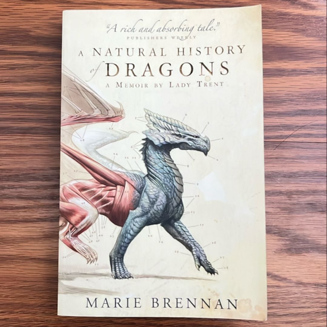 A Natural History of Dragons