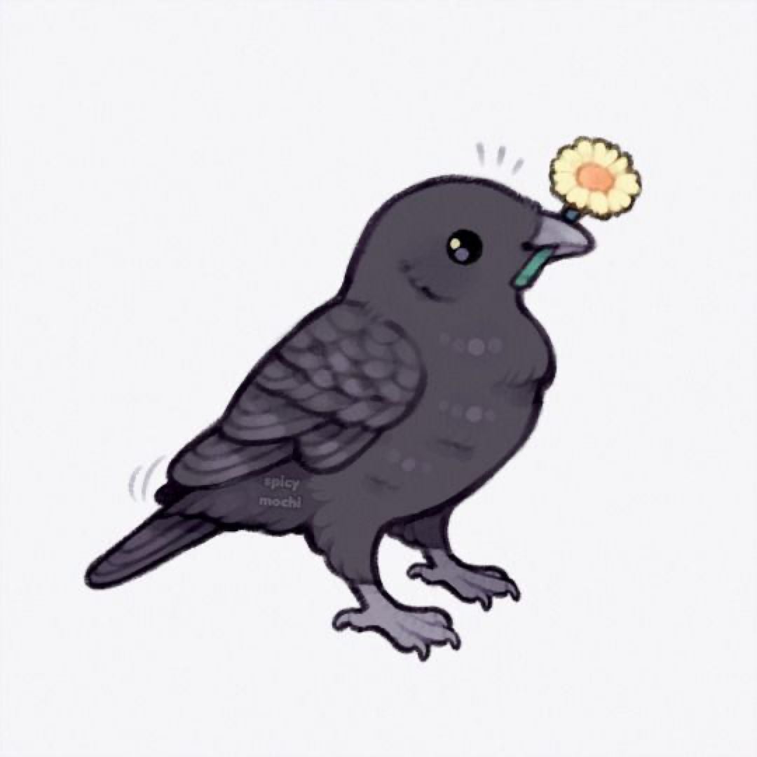 The Raven's Cache