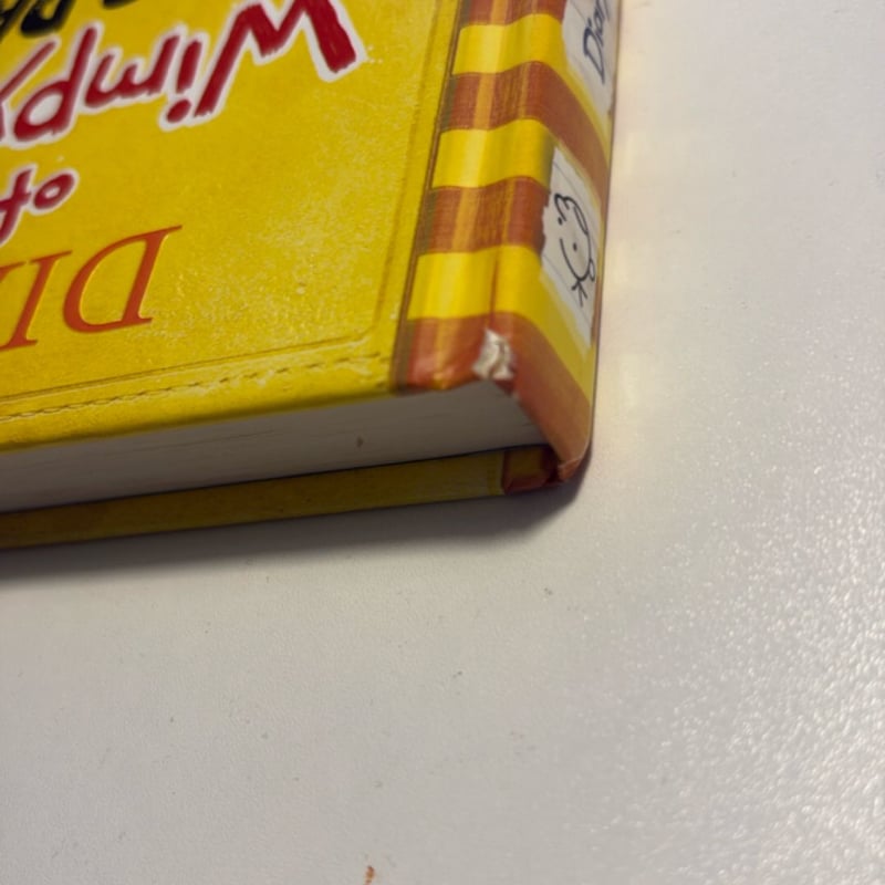 Dog Days (Diary of a Wimpy Kid, Book 4)