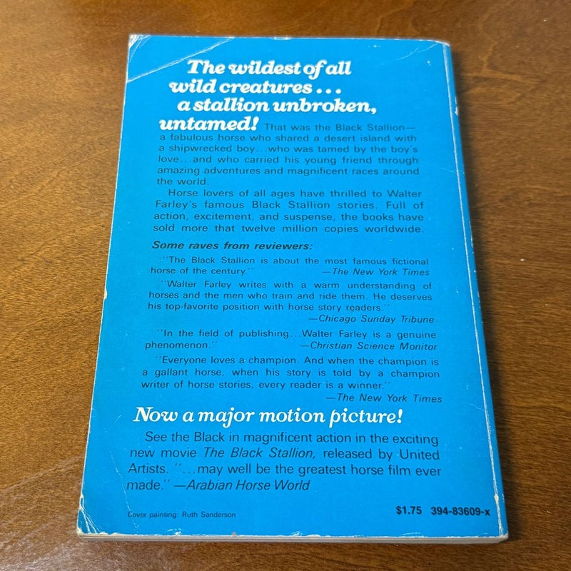Black Stallion Books