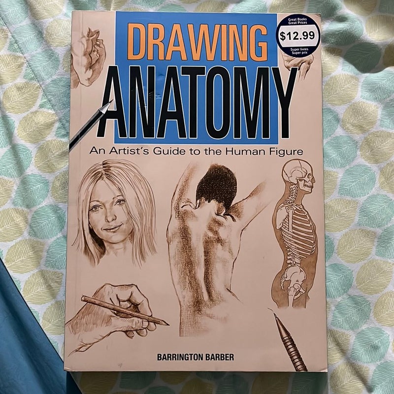 Drawing Anatomy