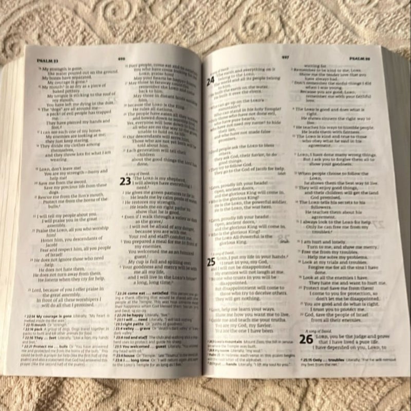 The Prison Bible