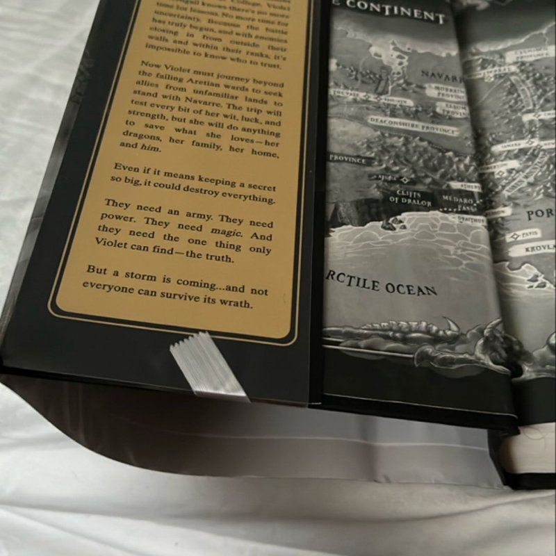 Onyx Storm (Standard Edition)