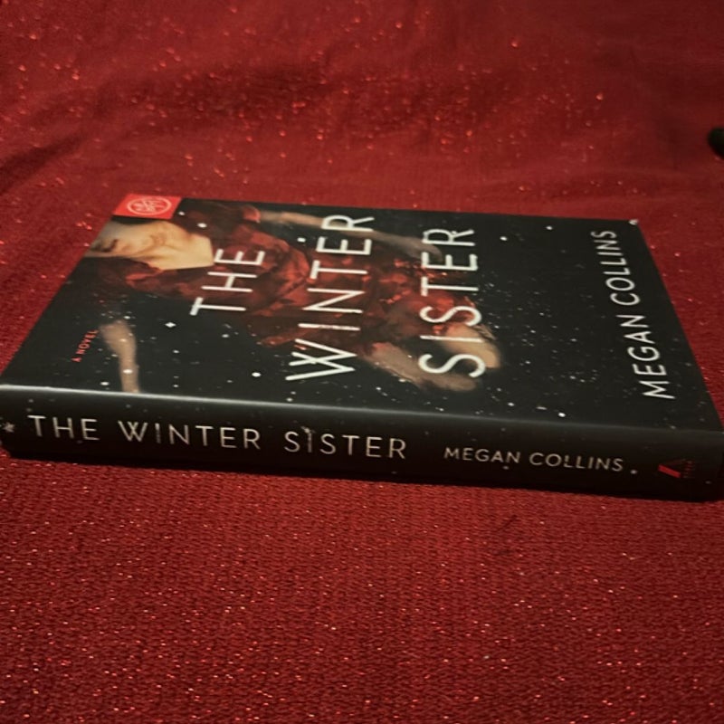 The Winter Sister