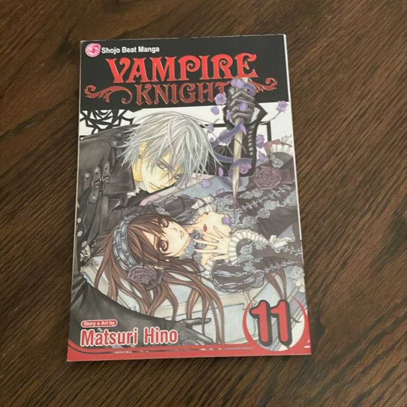 Vampire Knight, Vol. 11