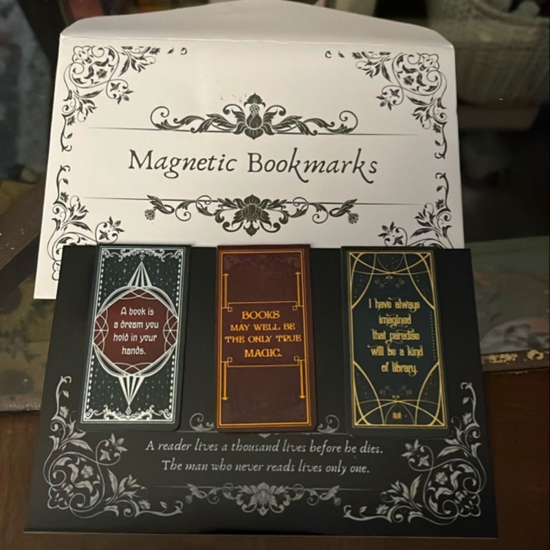 Owlcrate magnetic bookmarks