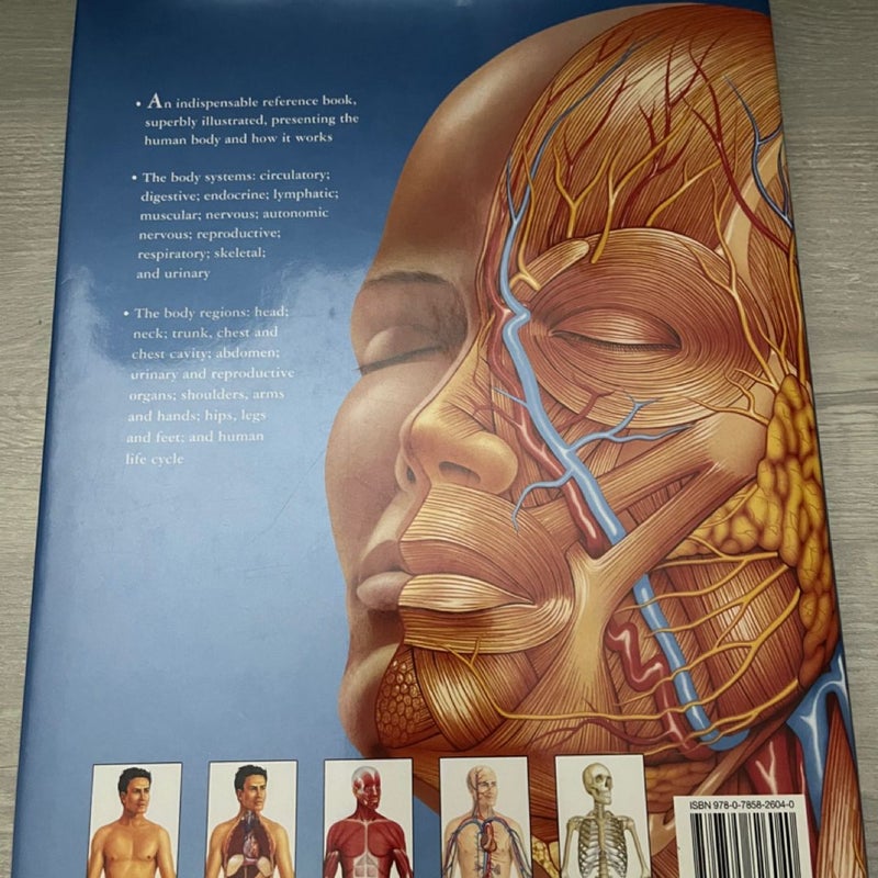 The Human Body Atlas by Global Book Publishing, Hardcover