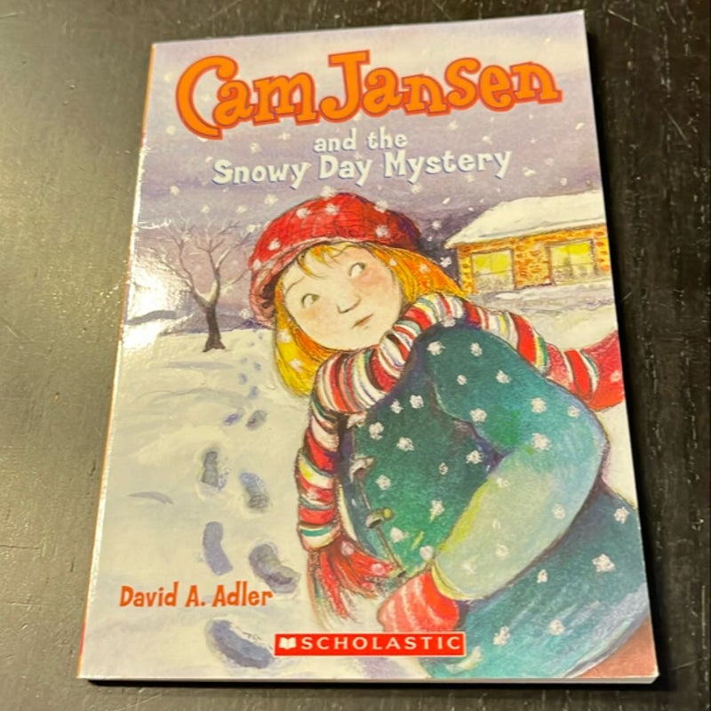 Cam Jansen and the Snowy Day Mystery