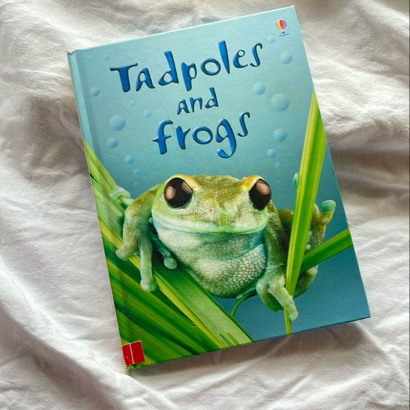 Tadpoles and Frogs