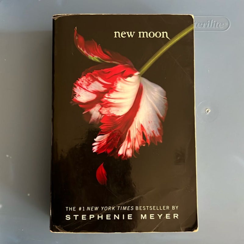 New Moon