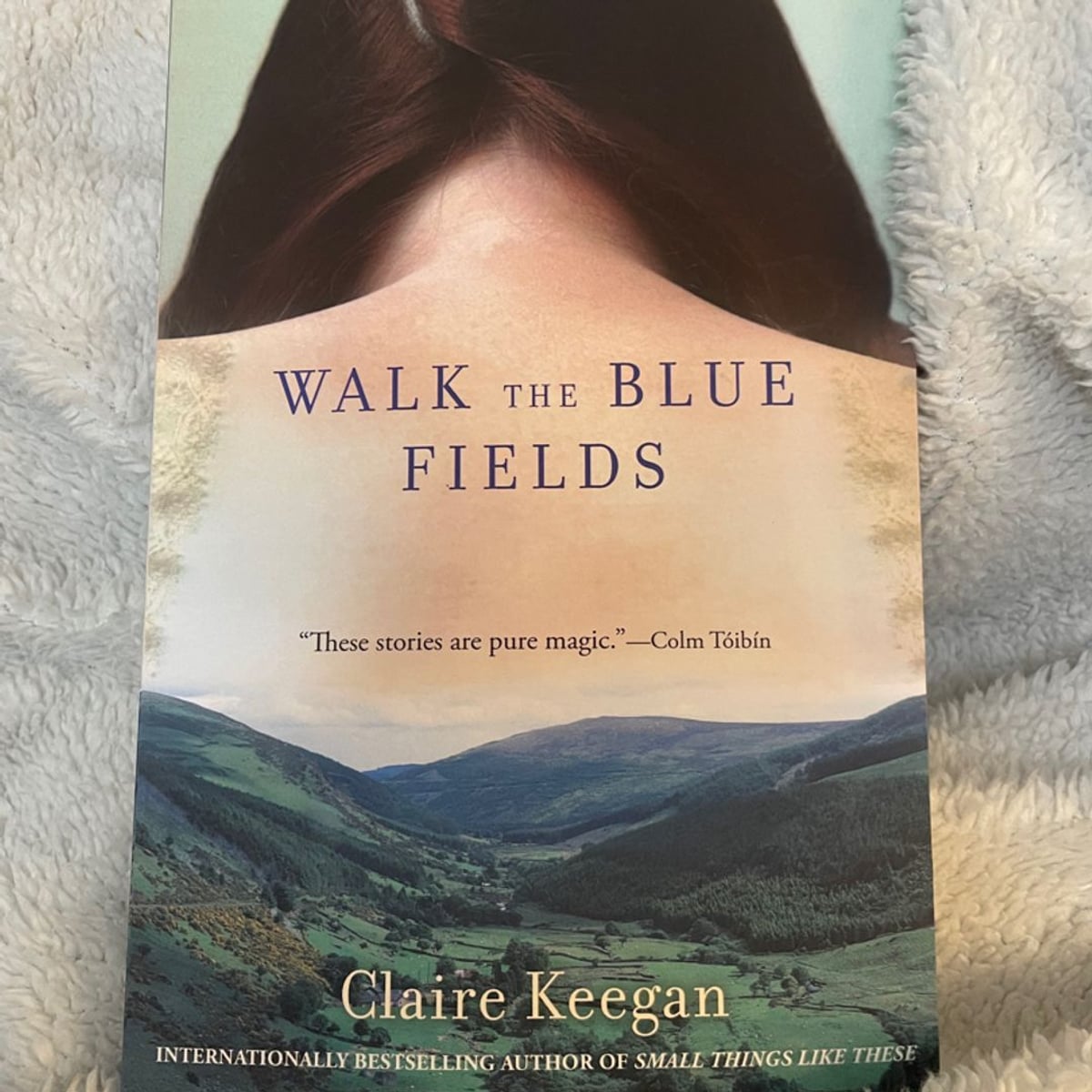 Walk the Blue Fields by Claire Keegan, Paperback Pangobooks