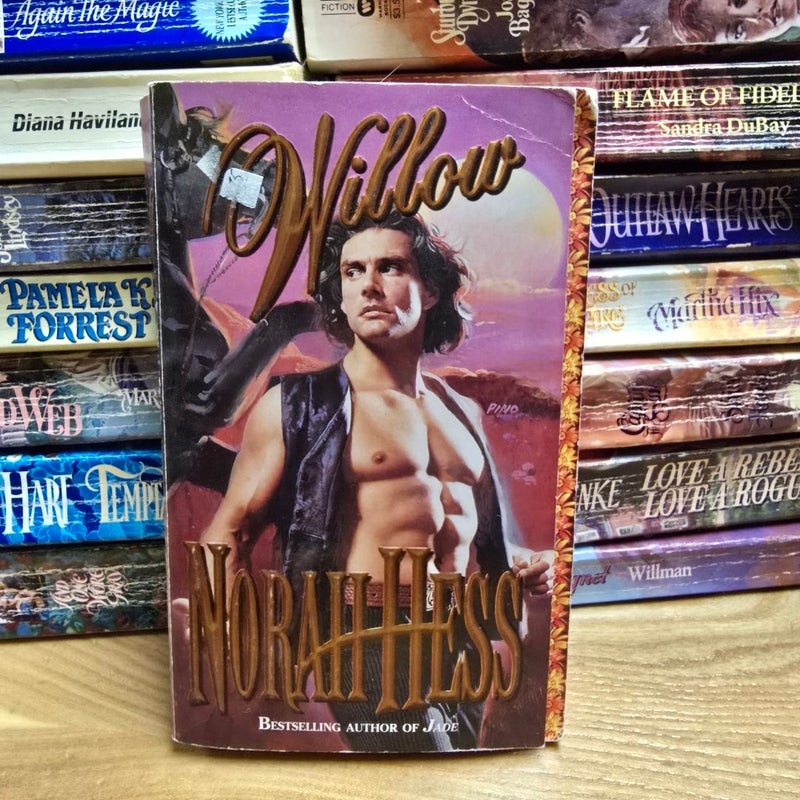 Willow - STEPBACK- Leisure Historical Romance