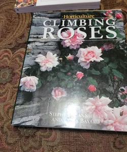 Climbing Roses