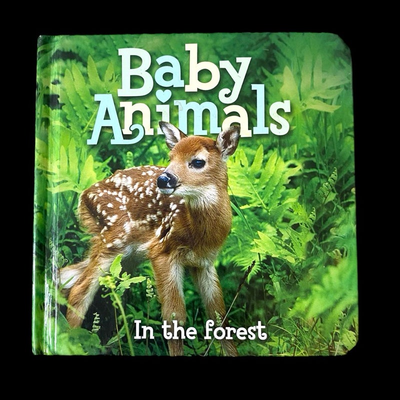 Baby Animals in the Forest