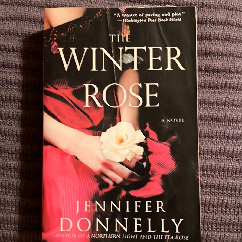 The Winter Rose