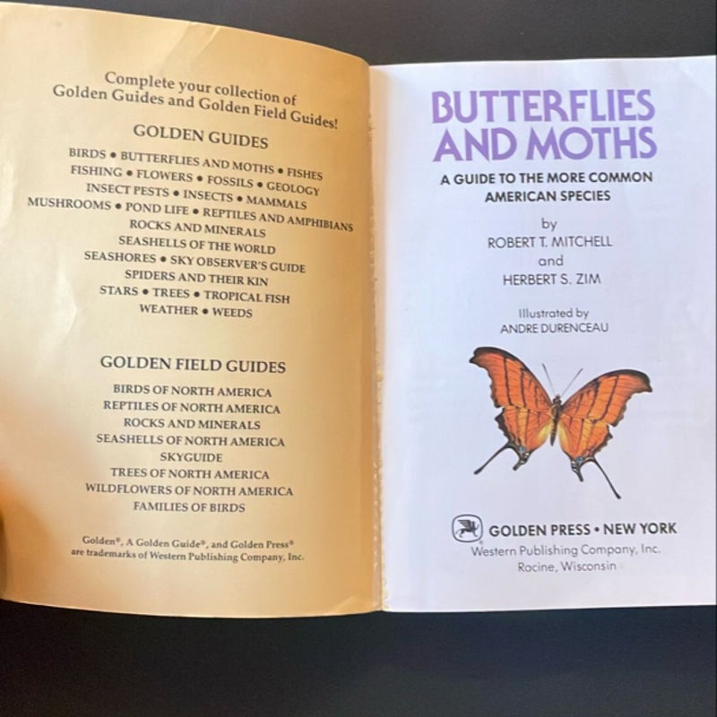 Butterflies and Moths