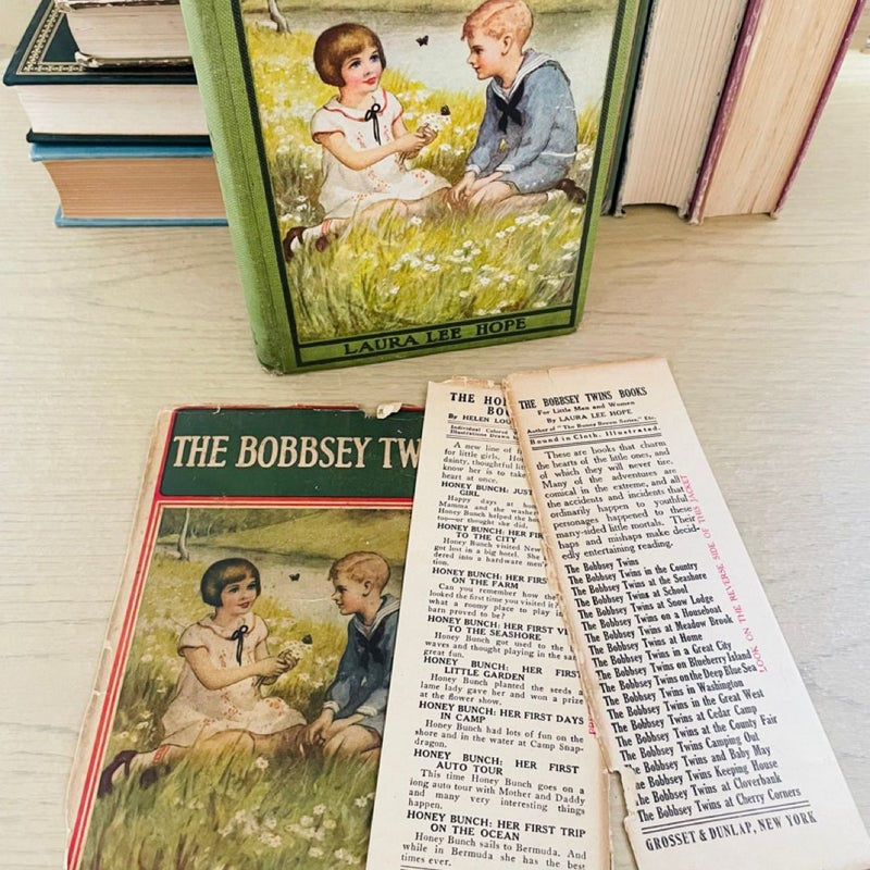 The Bobbsey Twins 