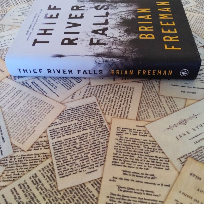 Thief River Falls (First Edition) 