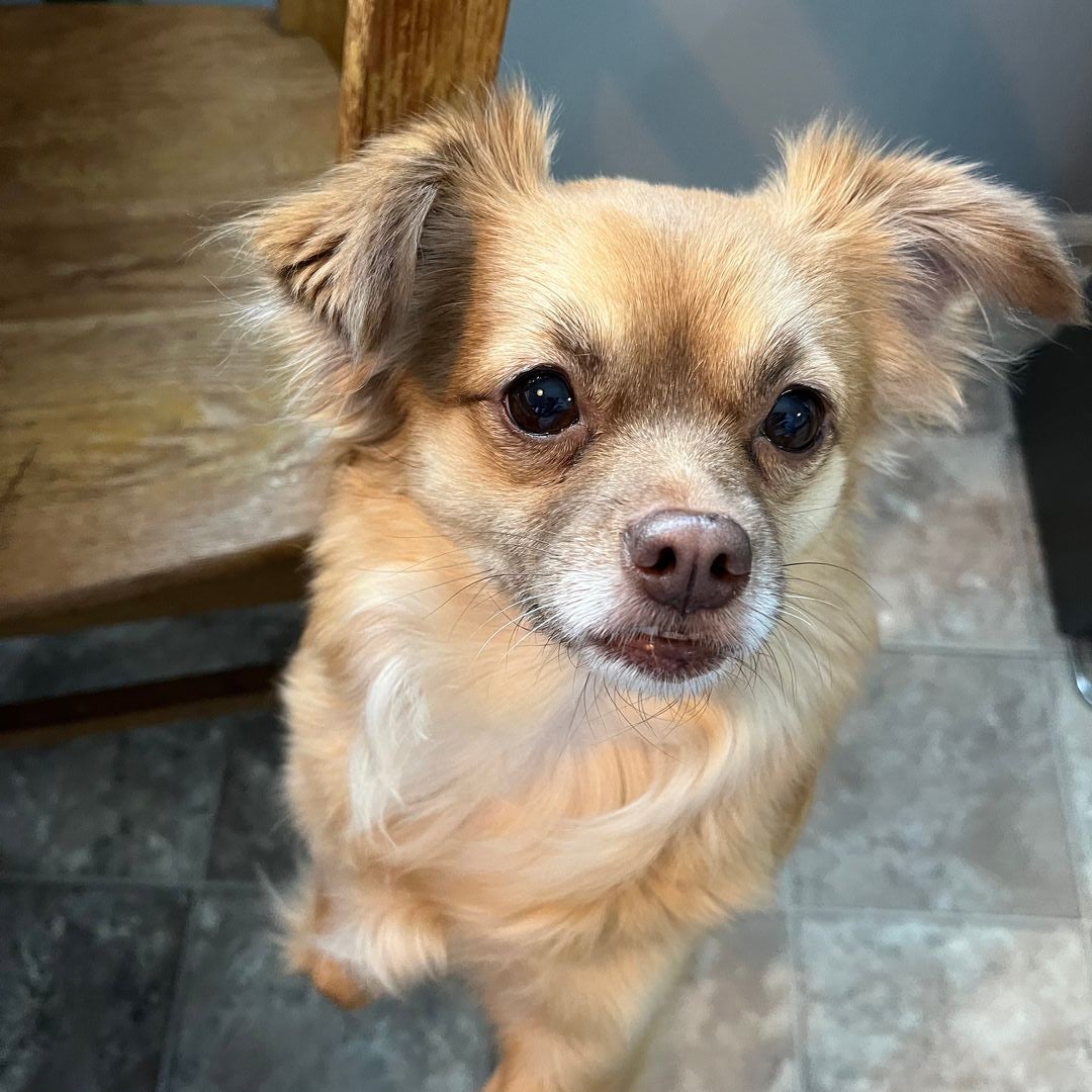 Maggie