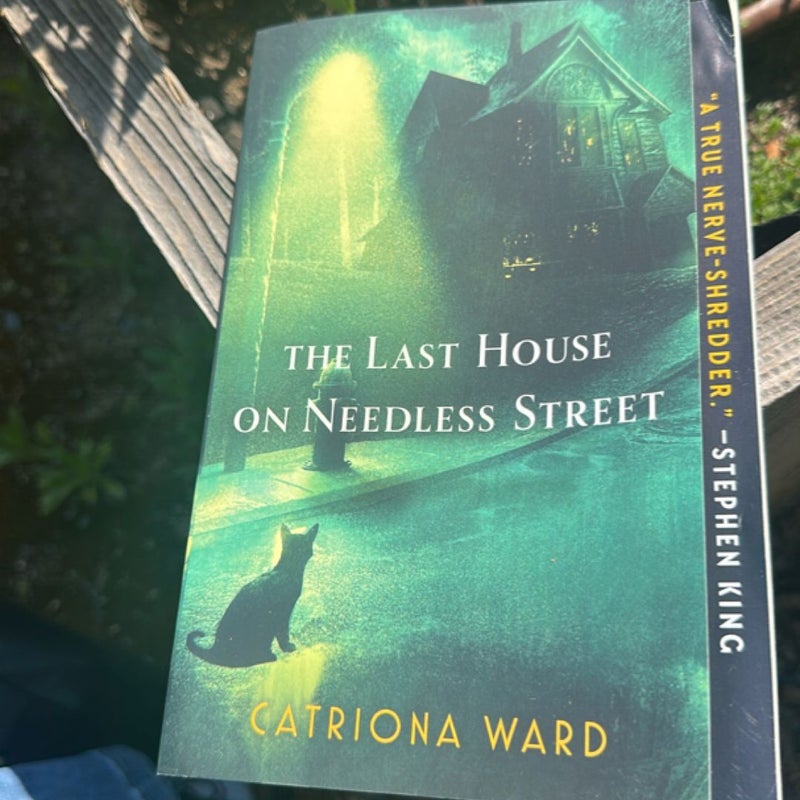 The Last House on Needless Street