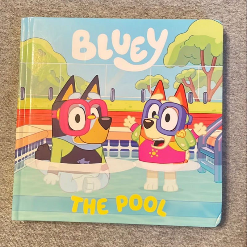 Bluey: the Pool