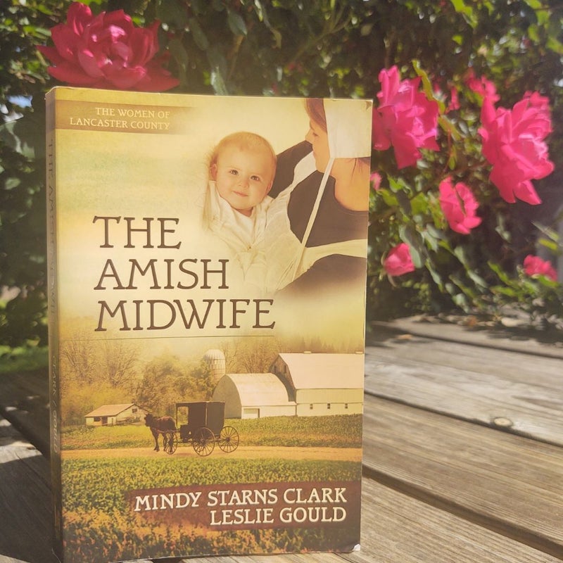 The Amish Midwife