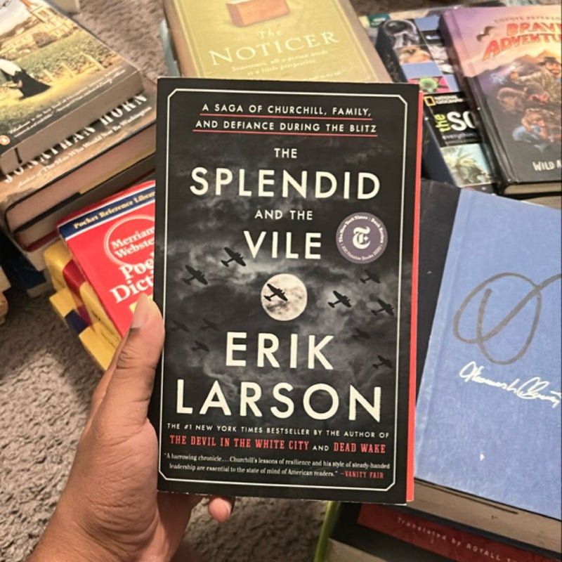 The Splendid and the Vile