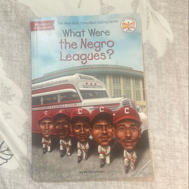 What Were the Negro Leagues?