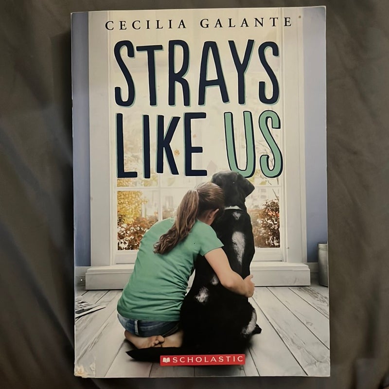 Strays Like Us