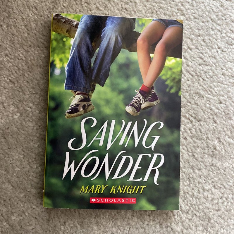 Saving Wonder