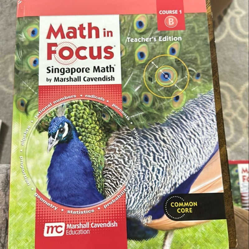 Math in Focus: Singapore Math