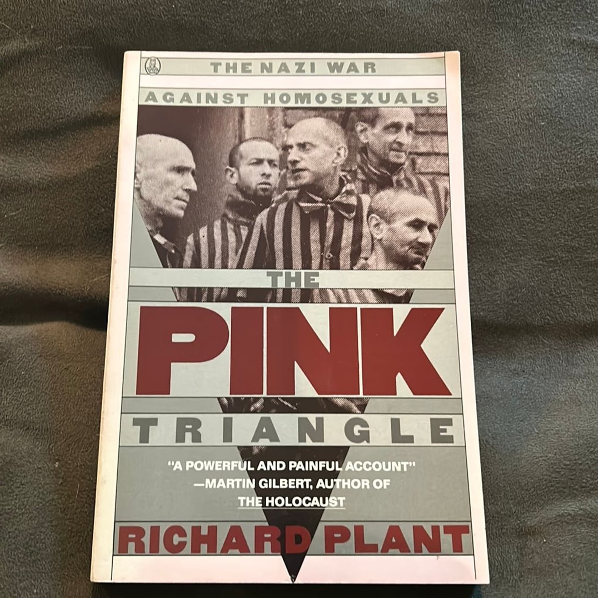 The Pink Triangle by Richard Plant