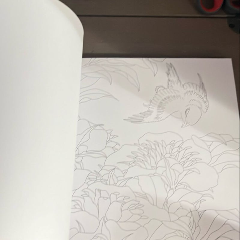 Touch of Asia Colouring Book