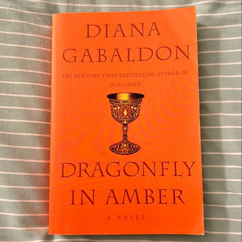 Dragonfly in Amber