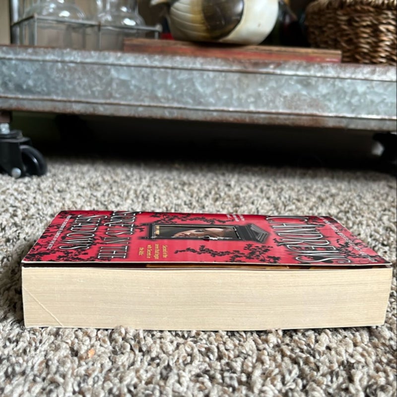 Secrets in the Shadows (vintage Stepback )