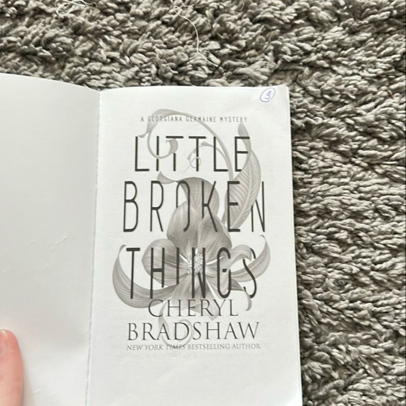 Little Broken Things