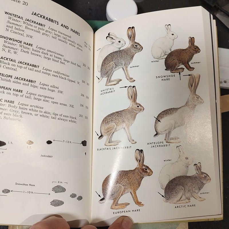 A Field Guide to the Mammals