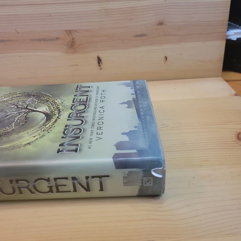 Insurgent