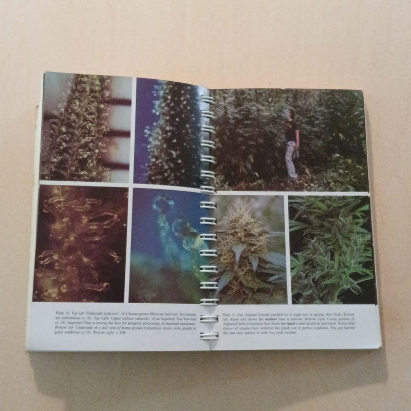 Marijuana Grower's Guide Deluxe