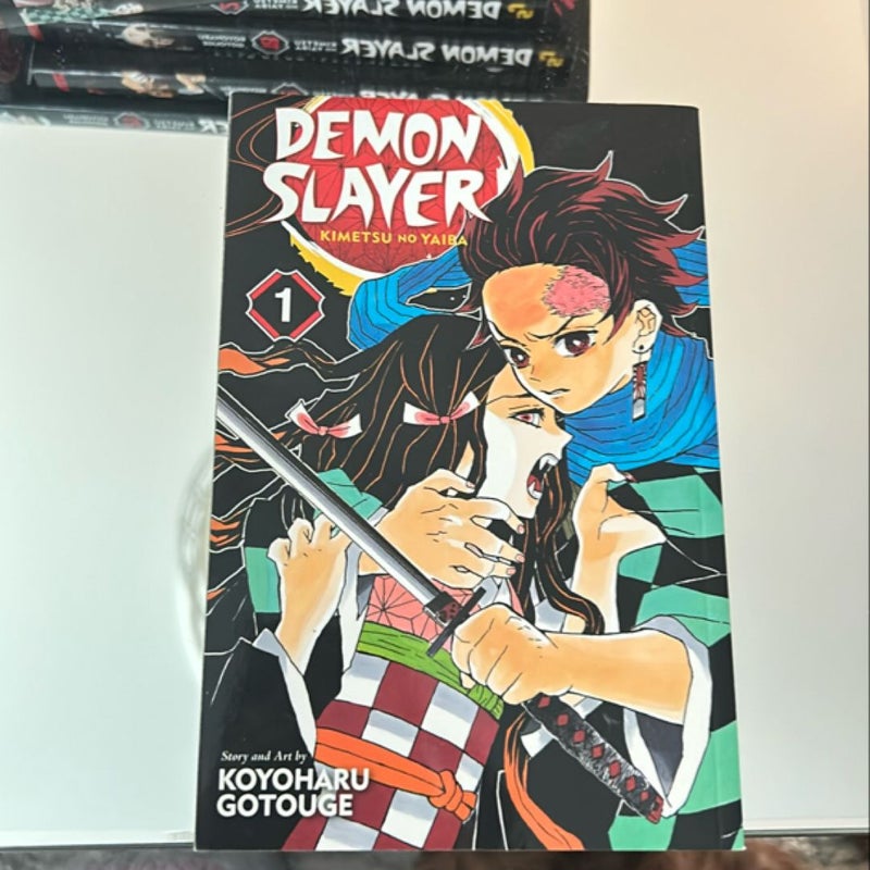 Demon Slayer: Kimetsu No Yaiba, Vol. 1