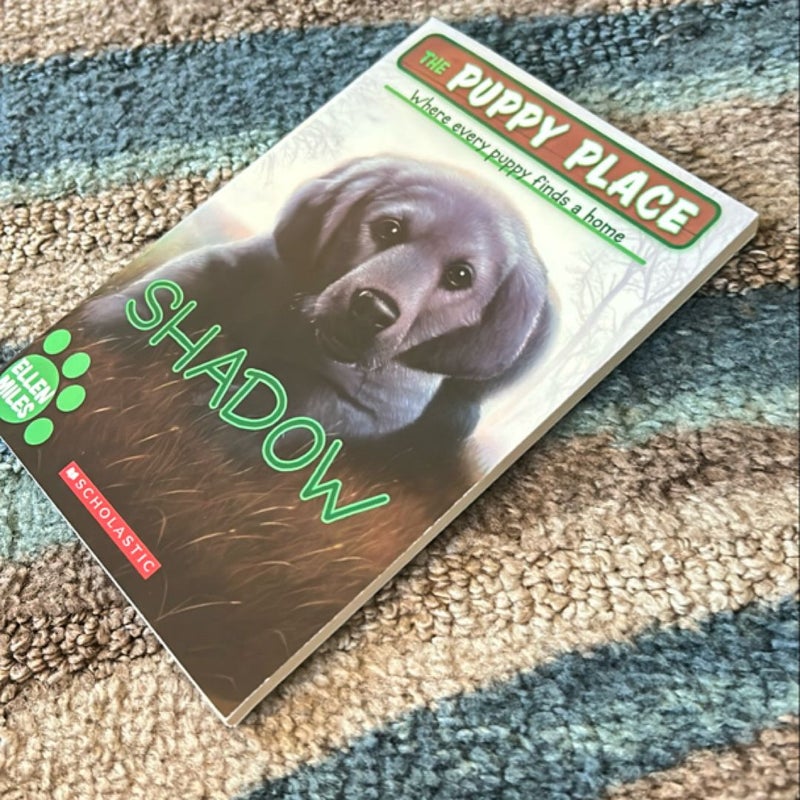 Shadow