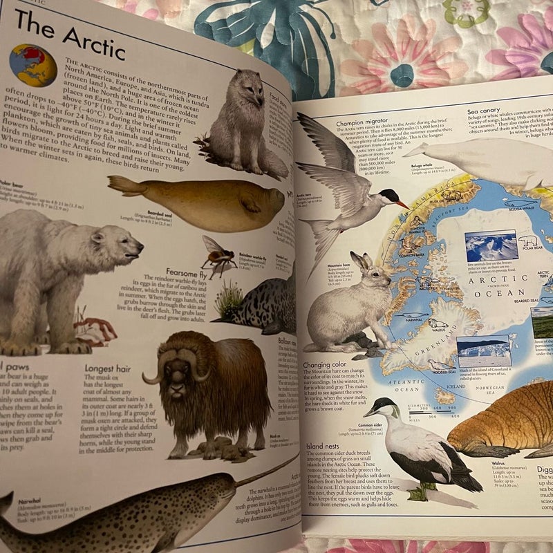 The Animal Atlas by DK