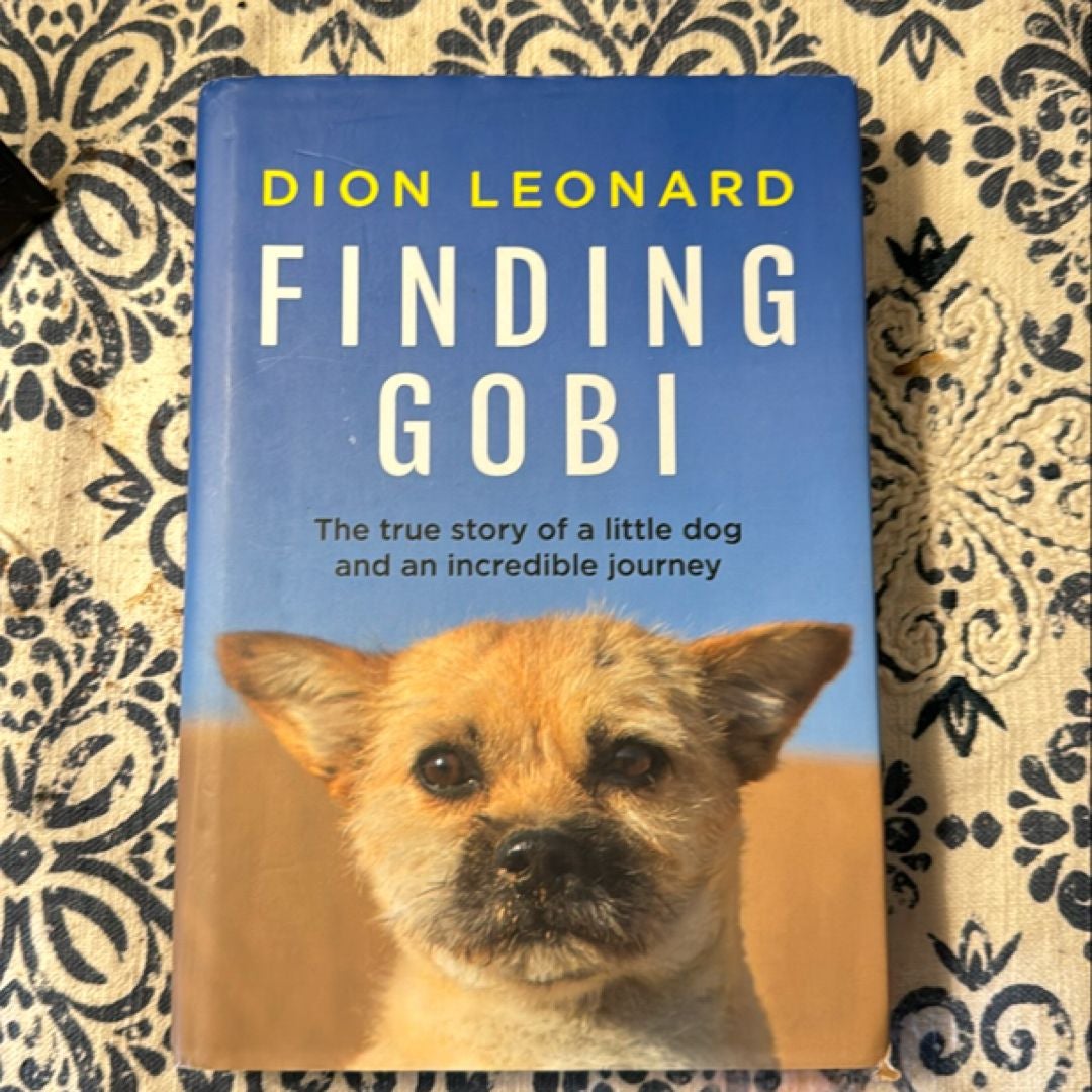 Finding Gobi (Main Edition)