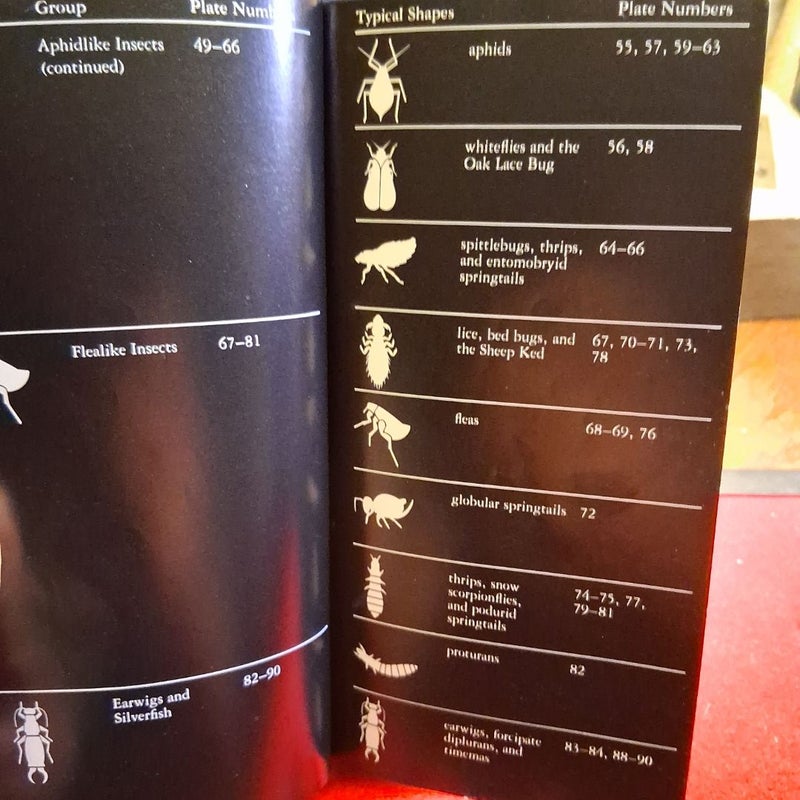 National Audubon Society Field Guide to Insects and Spiders