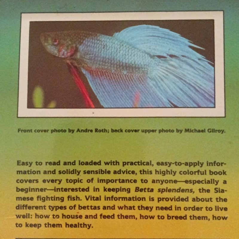 Bettas A Complete Introduction by Walt Maurus, Paperback | Pangobooks
