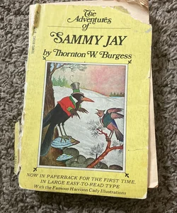 the adventures of Sammy jay